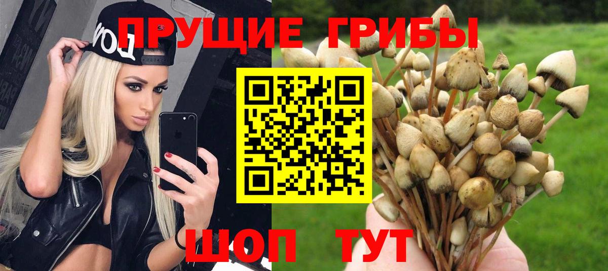 Орск  Галлюциногенные грибы GOLDEN TEACHER  Вход с VPN 